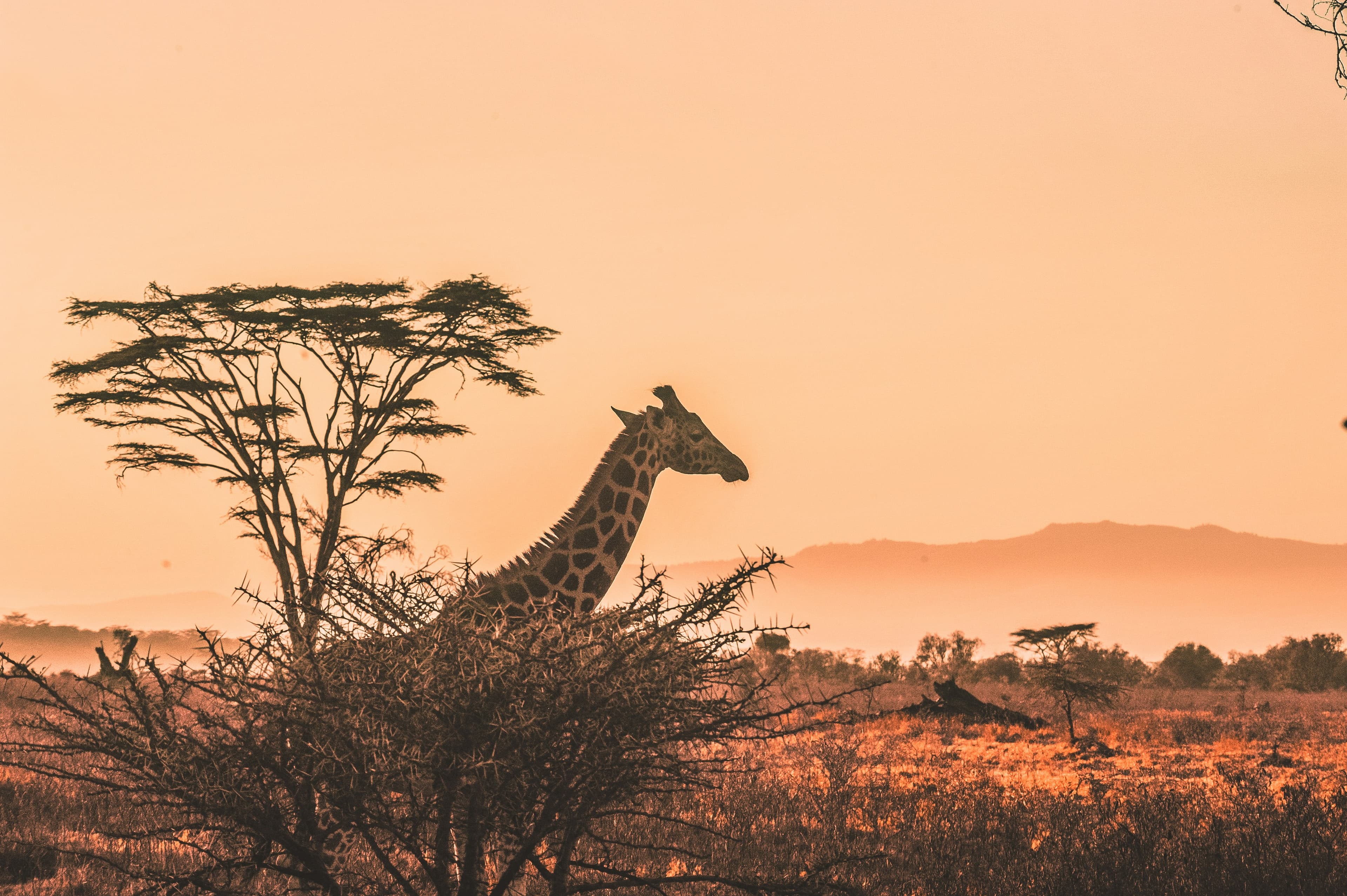 Film Production Services in East Africa