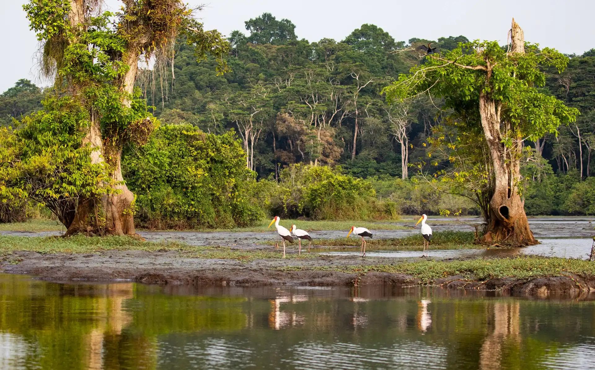 Filming Process in Gabon. How To Film Succesfully