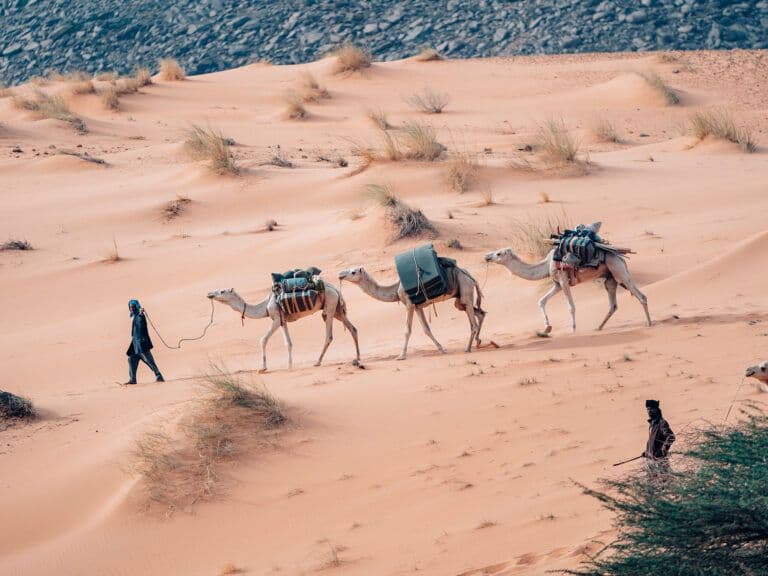 Filming Process in Mauritania. How To Film Succesfully