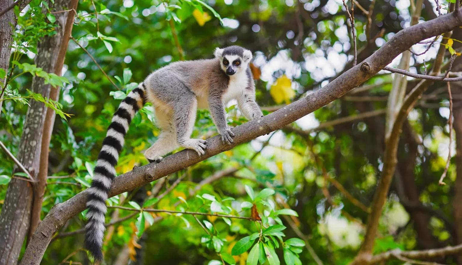 Filming Process in Madagascar. How To Film Succesfully