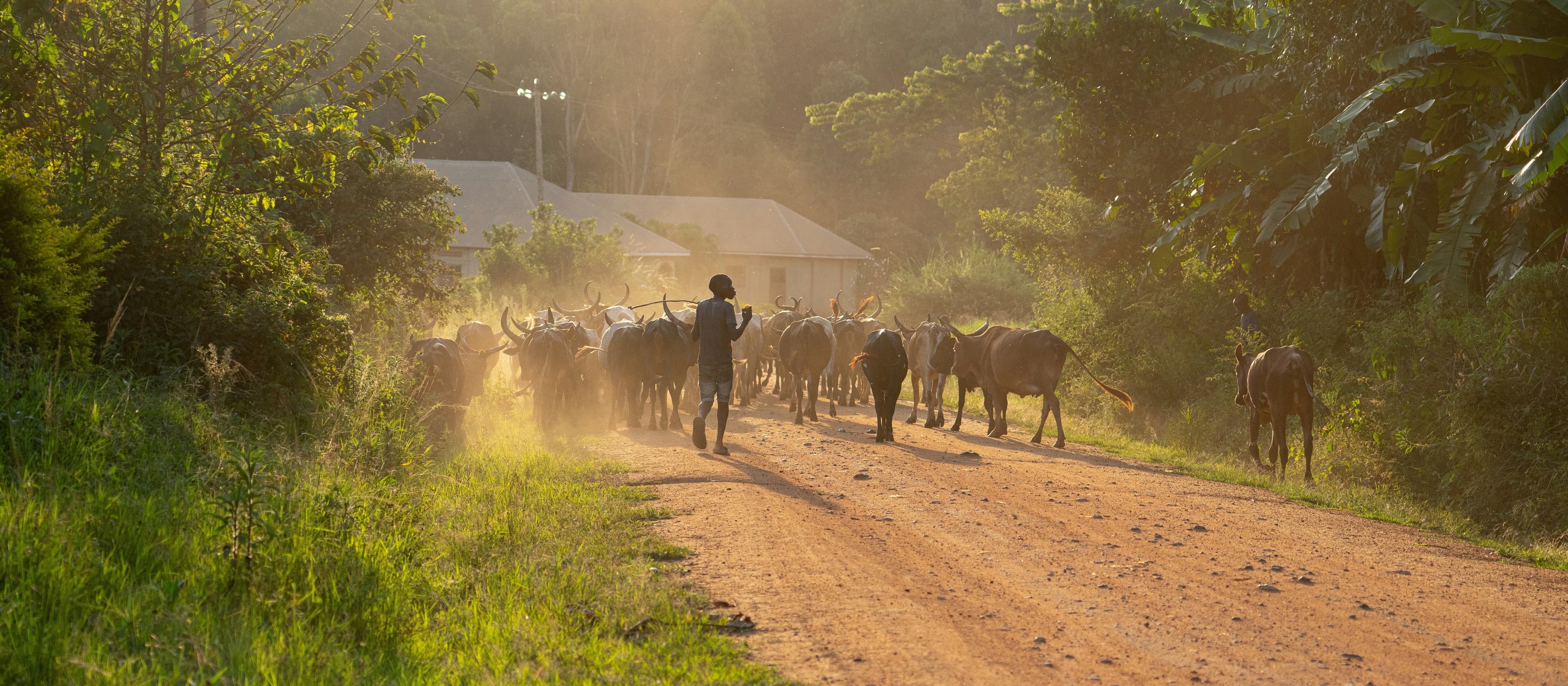 Filming Process in Uganda. How To Film Succesfully