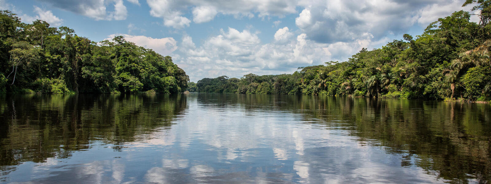 Find filmmakers in Congo